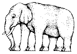 Elefante con muchas patas